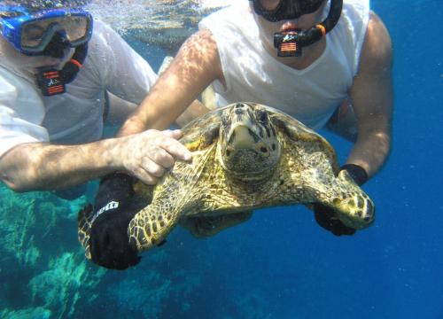 Z ARCHIWUM SKSP BARAKUDA