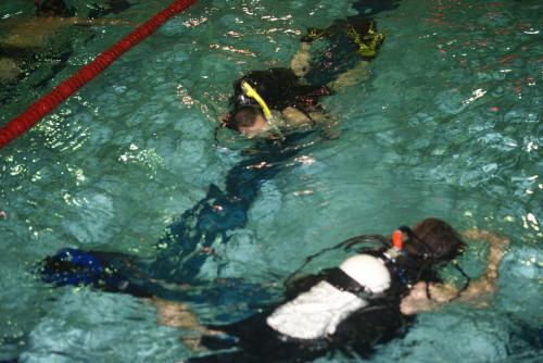 Kurs OWD - wiosna 2014
