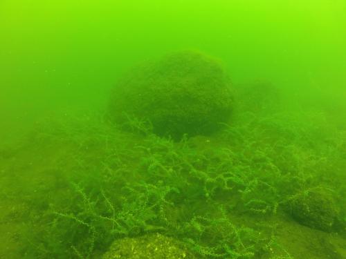 Ińsko - Lipiec 2014r.