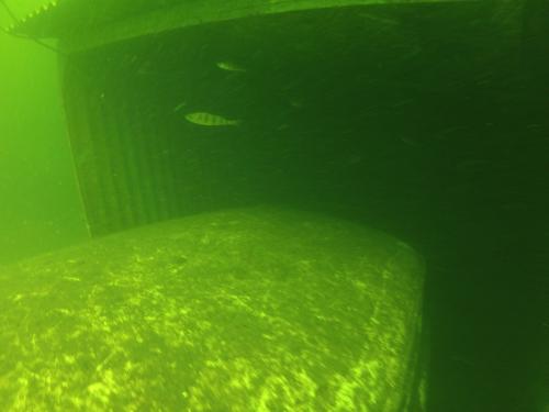 Ińsko - Lipiec 2014r.