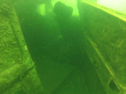 Płotki - Lipiec 2014