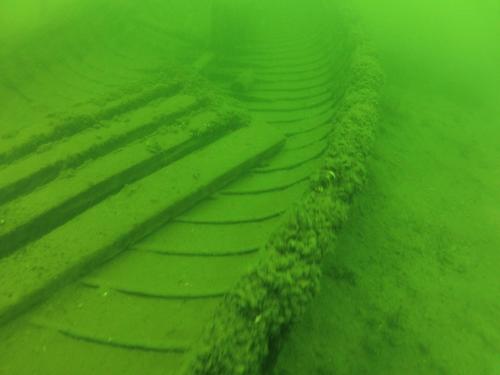 Płotki - Lipiec 2014