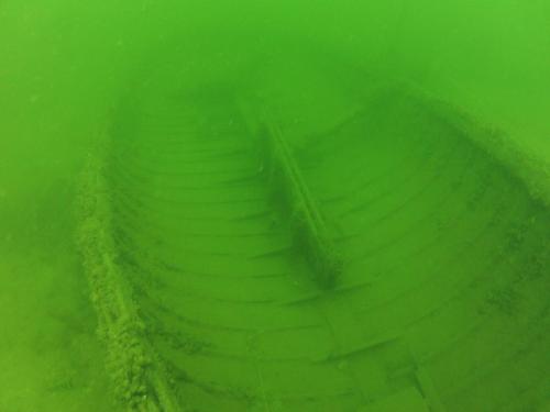 Płotki - Lipiec 2014