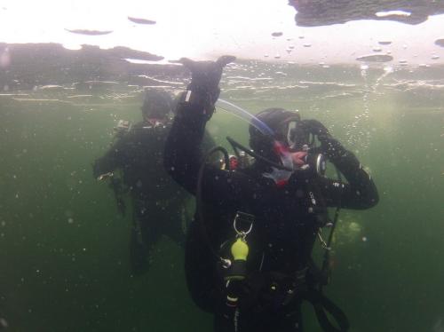 Nurkowanie podlodowe